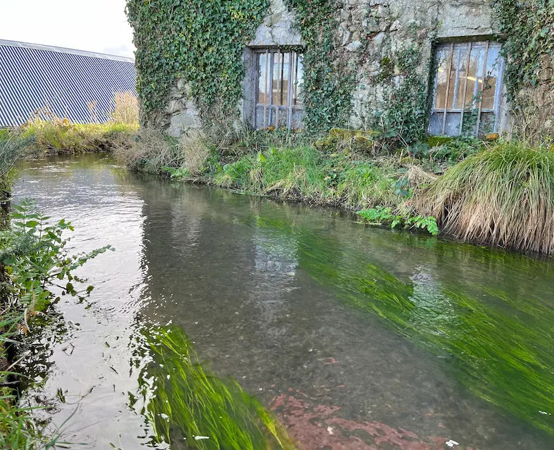 The Mill Race water channel flowing next to Cushendale mill