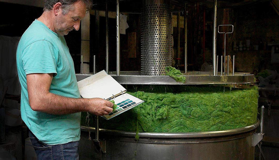 A man standing in front of a machine comparing the colour of green wool in the machine to a swatch palette in his hand